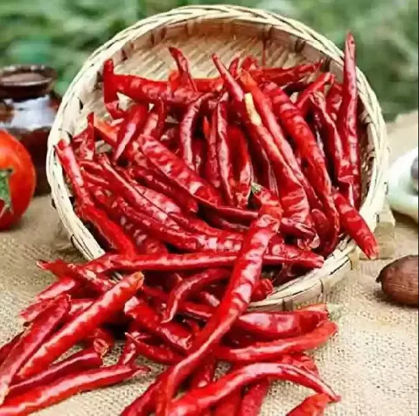 Red Chilli | Lal Mirchi | लाल मिर्च (1 kg)