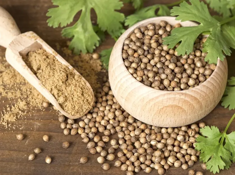 Whole Coriander | Sabut/Khada Dhaniya | साबुत/खड़ा धनिया (1 kg)