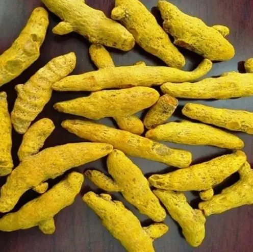 Whole Turmeric Sticks | Sabut/Khada Haldi | साबुत/खड़ा हल्दी (500 gm)